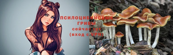 бутират Медногорск