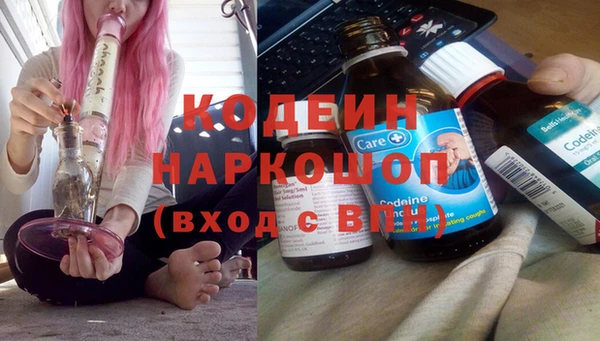 прущие грибы Новый Уренгой